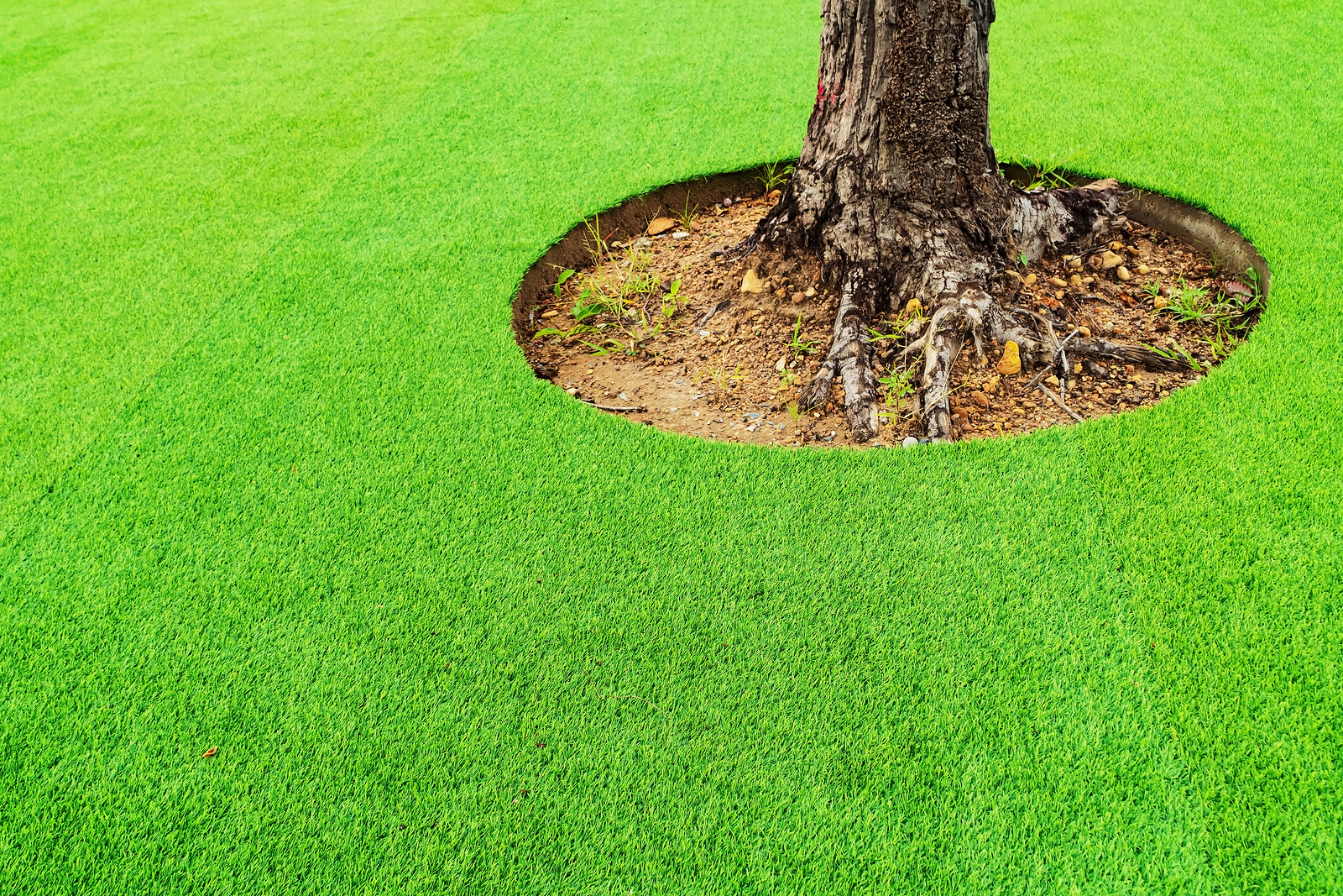 Synthetic-Grass-Tallahassee-Safety-Surfacing